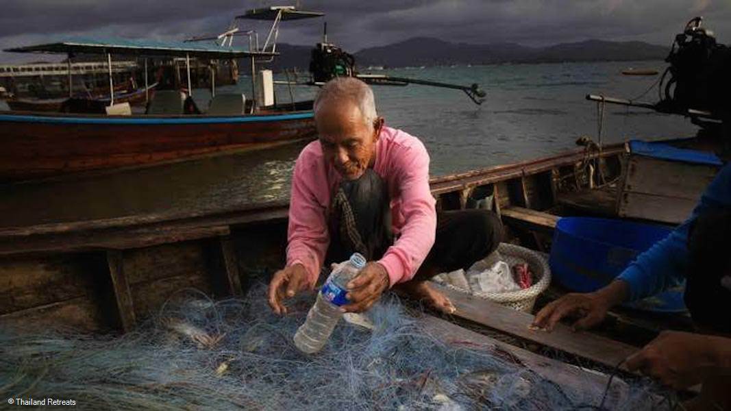 Conservation initiatives in and around Koh Samui