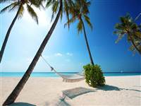 Discover 7 must-do experiences in Koh Samui including island hopping, night markets, jungle adventures, cookery classes and unforgettable dining